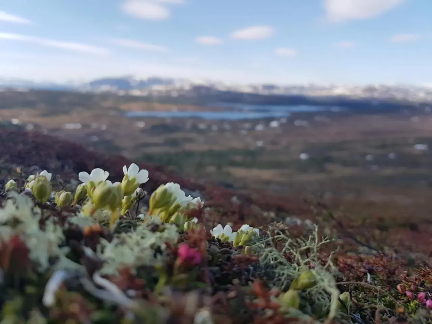 Edsåsdalen Fjällstation & Fjällby