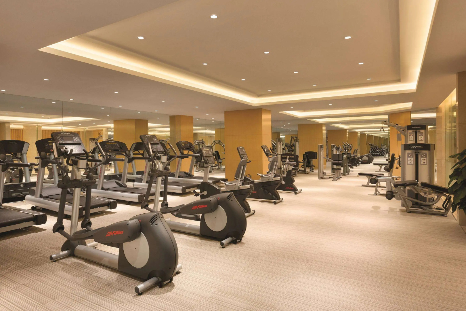 Wyndham Urumqi North