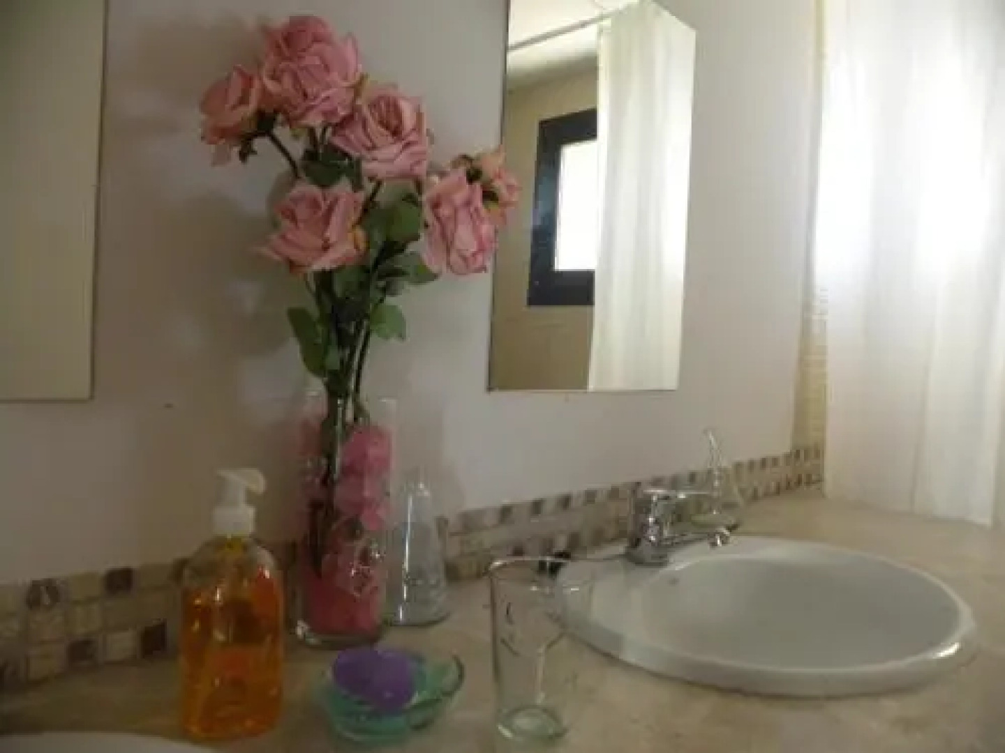 El Jardin de los Gatos Apartament