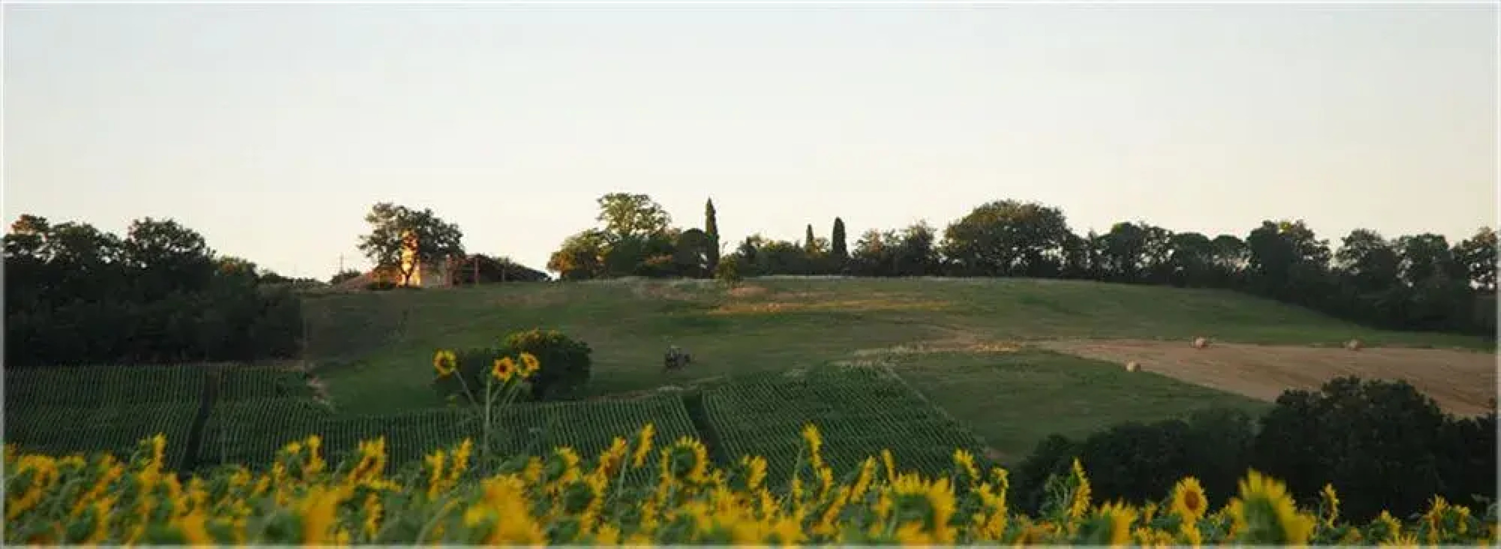 Le Petit Chateau Argoumbat