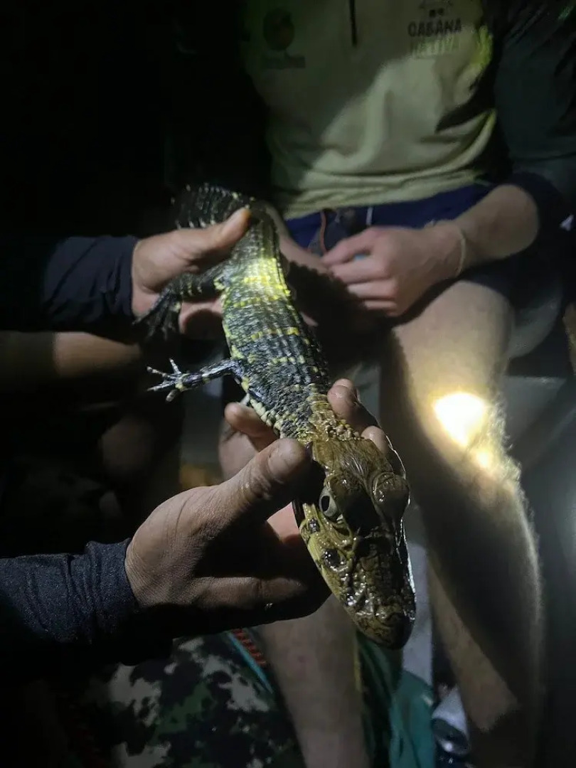 Pousada Cabana Nativa Paraíso