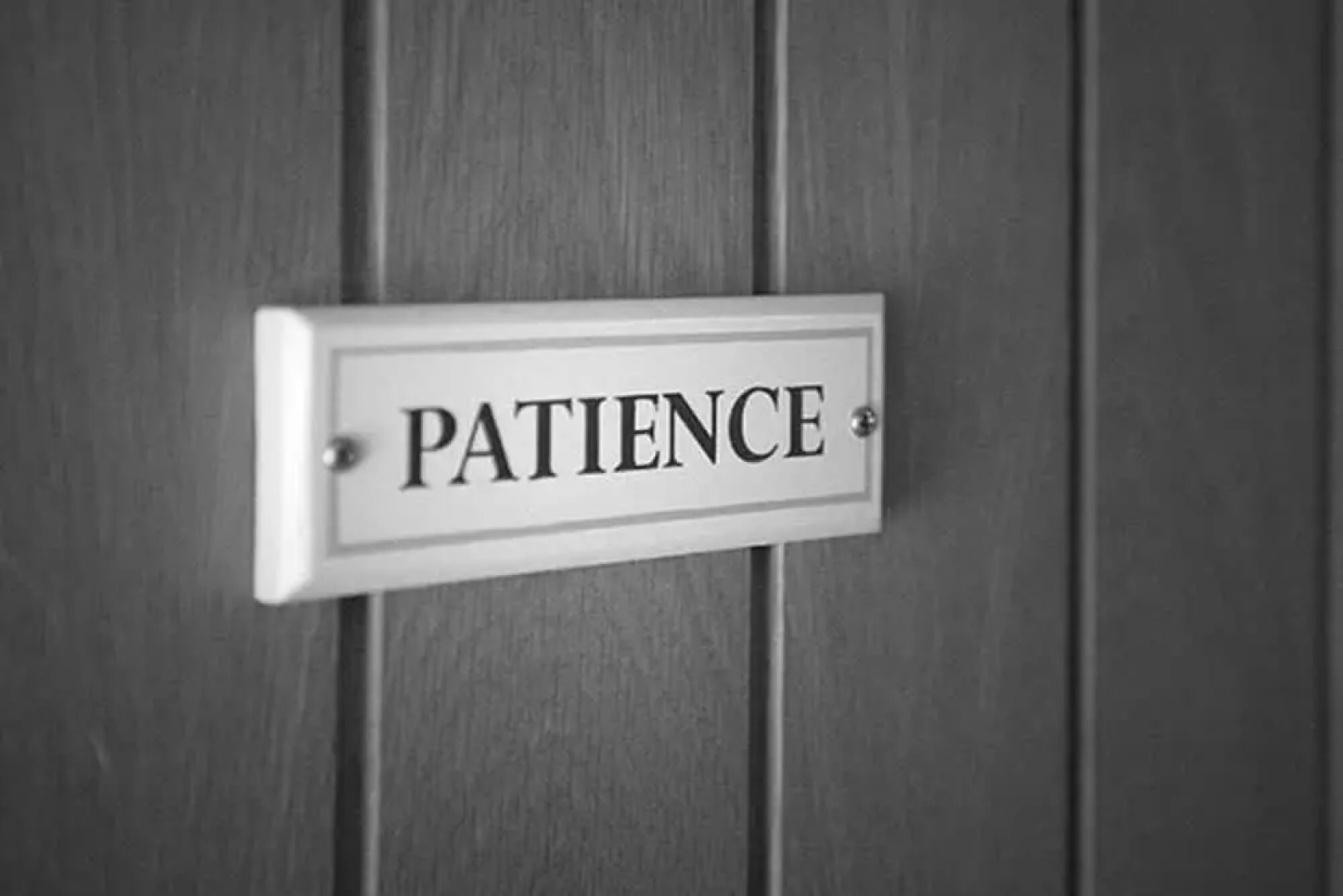 Patience - Tiger Inn