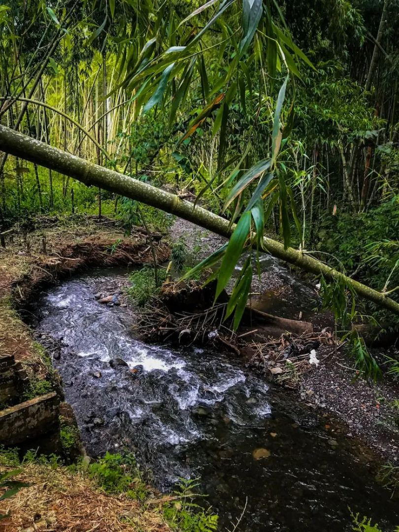 Room in Guest Room - Room With 2 Double Beds Number 14