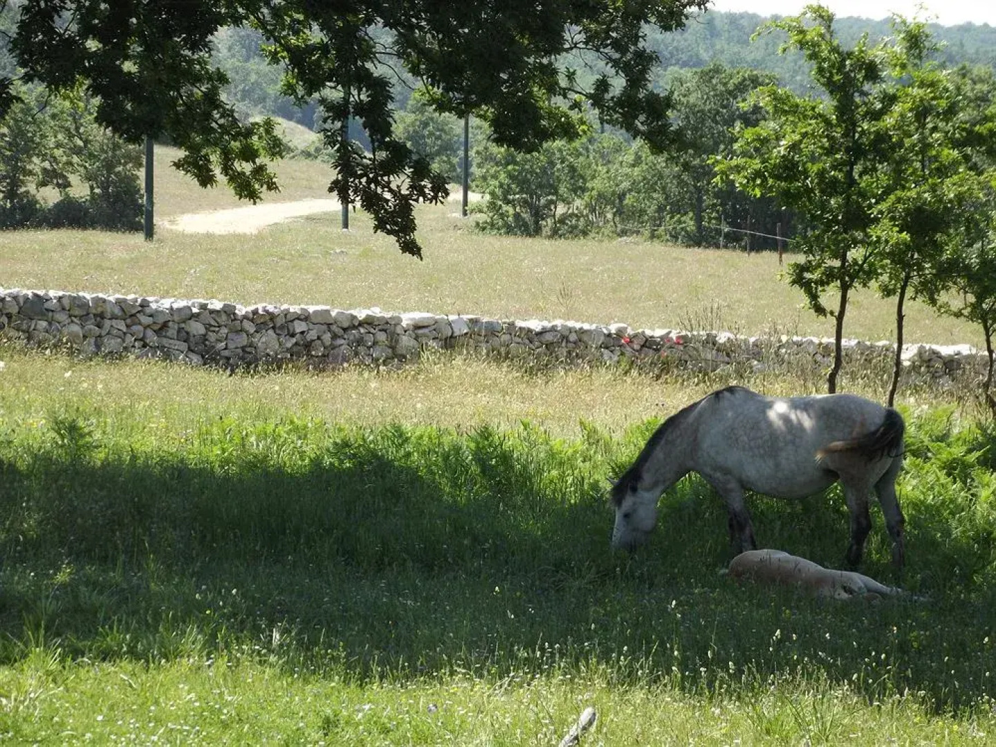 Oasi Agrituristica Le Chiancate