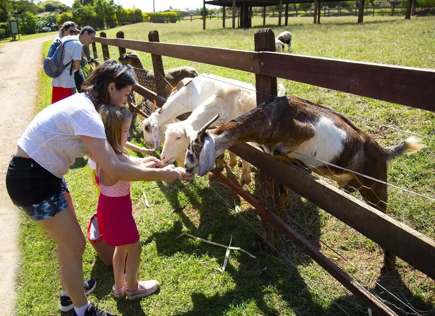 Hotel Fazenda Areia que Canta