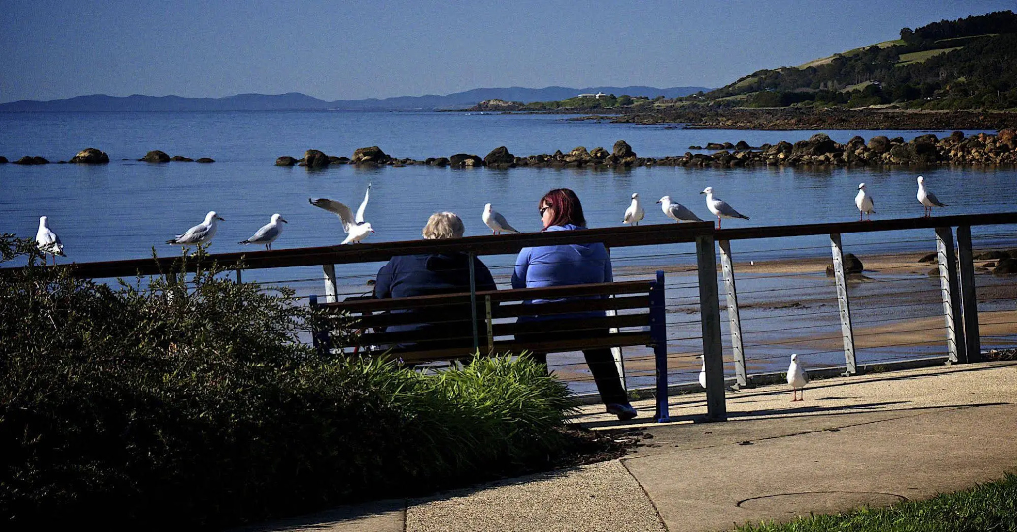 Penguin Beachfront Apartments