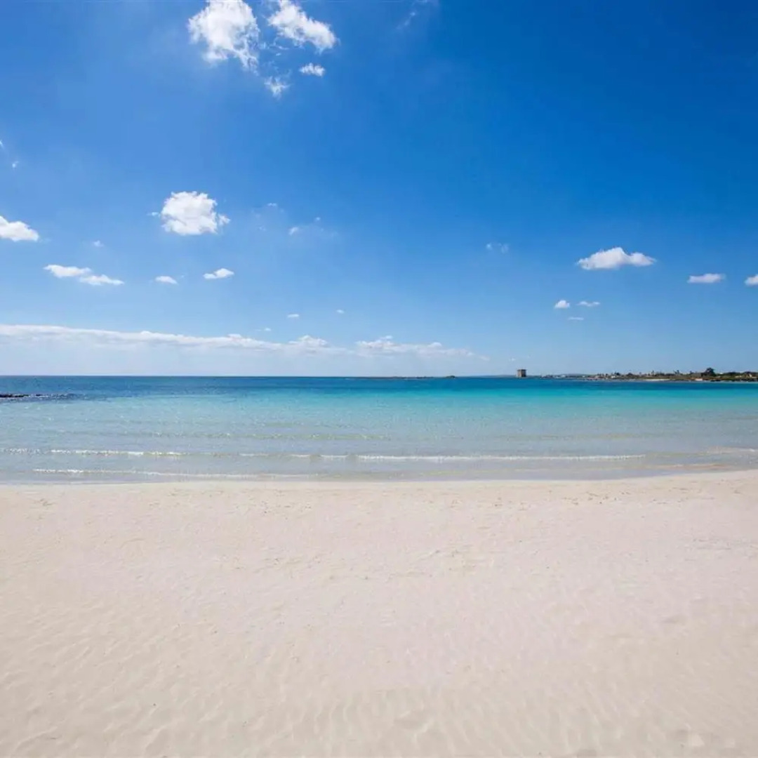 1054 Absolute - Bilo Lux Primo Piano