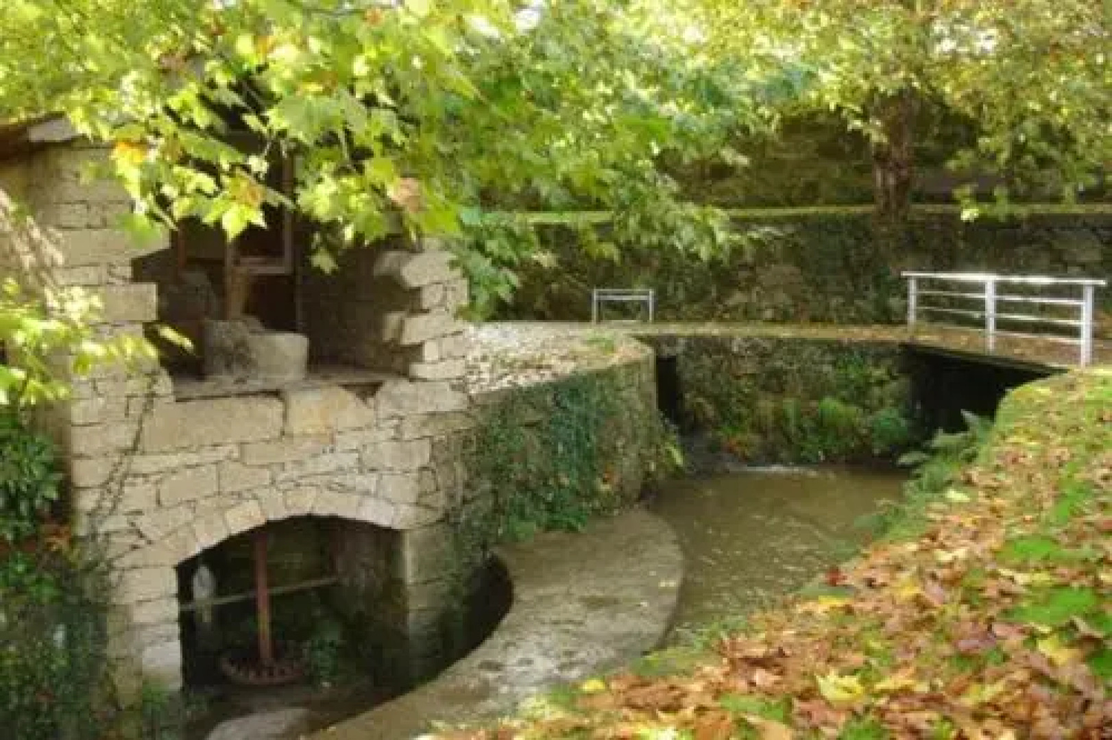 Camélias de Basto - Turismo Rural