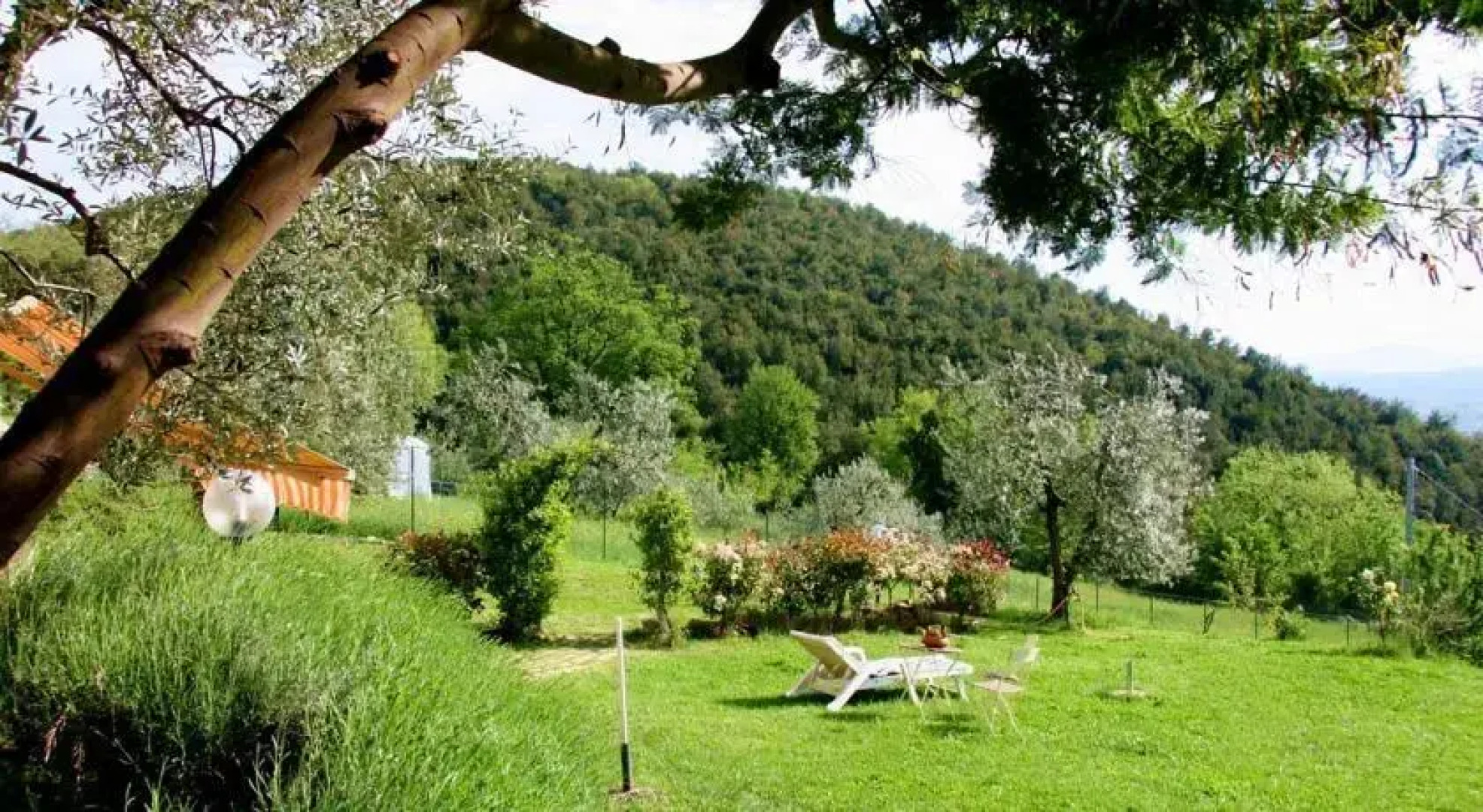 Bed and Breakfast di Montenero