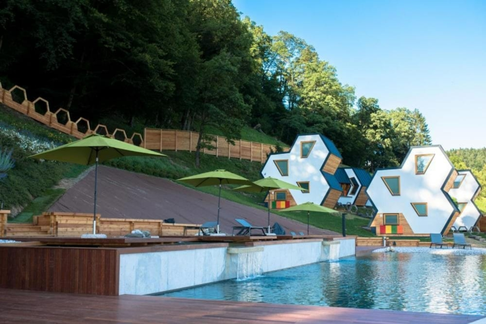 Wellness Suite Viola