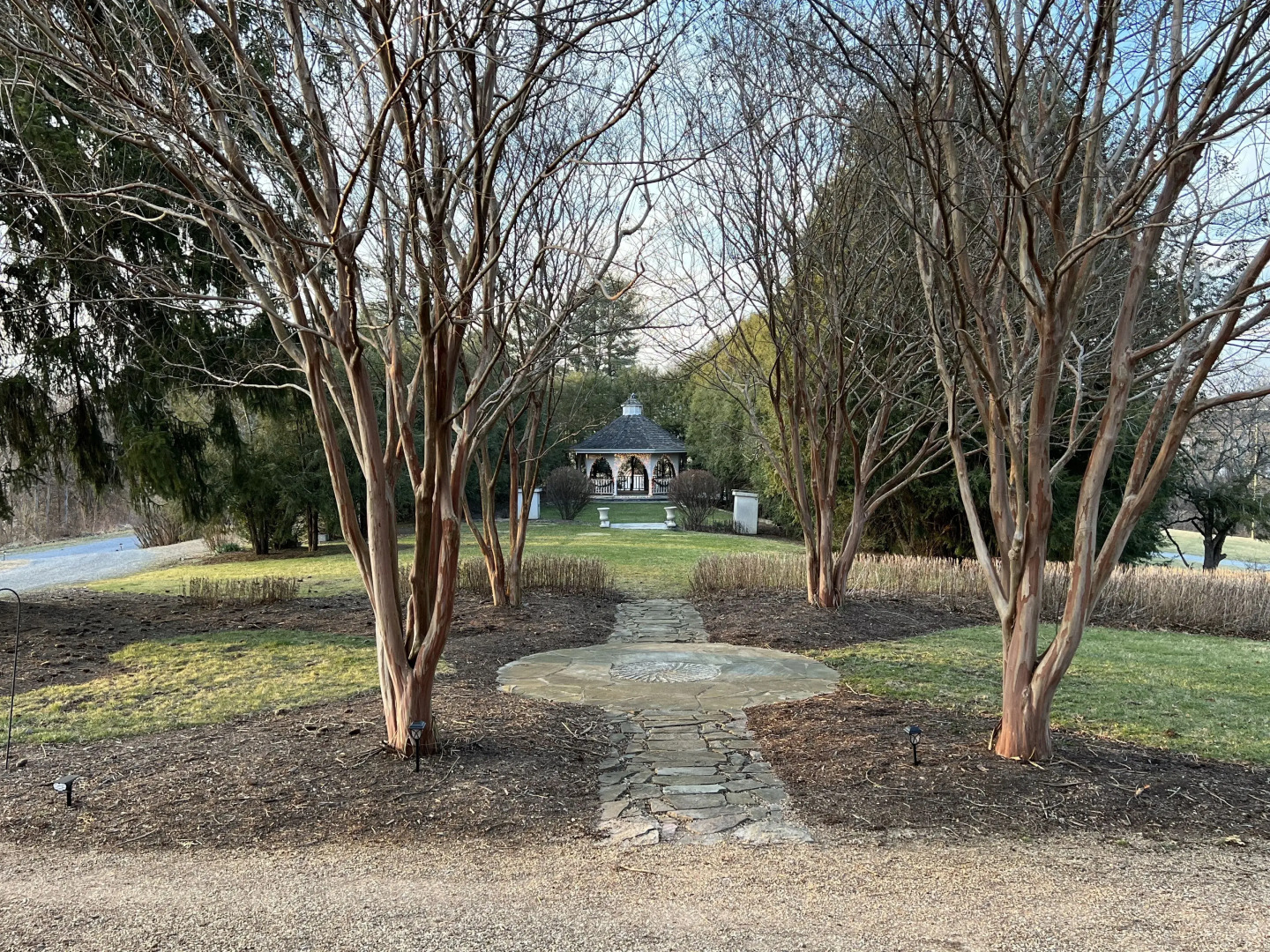 Nesselrod on the New