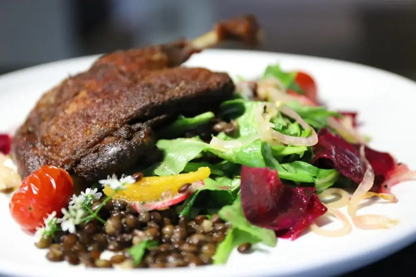 Villa93 Luxury Lodge