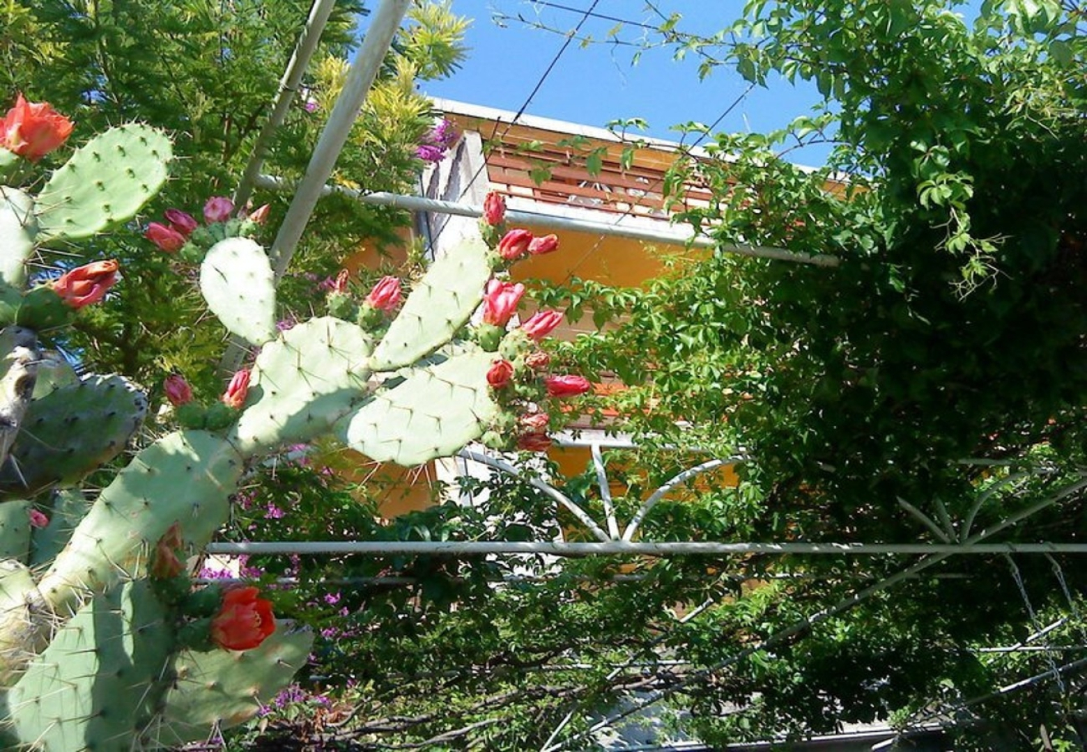 Studio apartment Bor - with great view: SA2Levant Makarska, Riviera Makarska