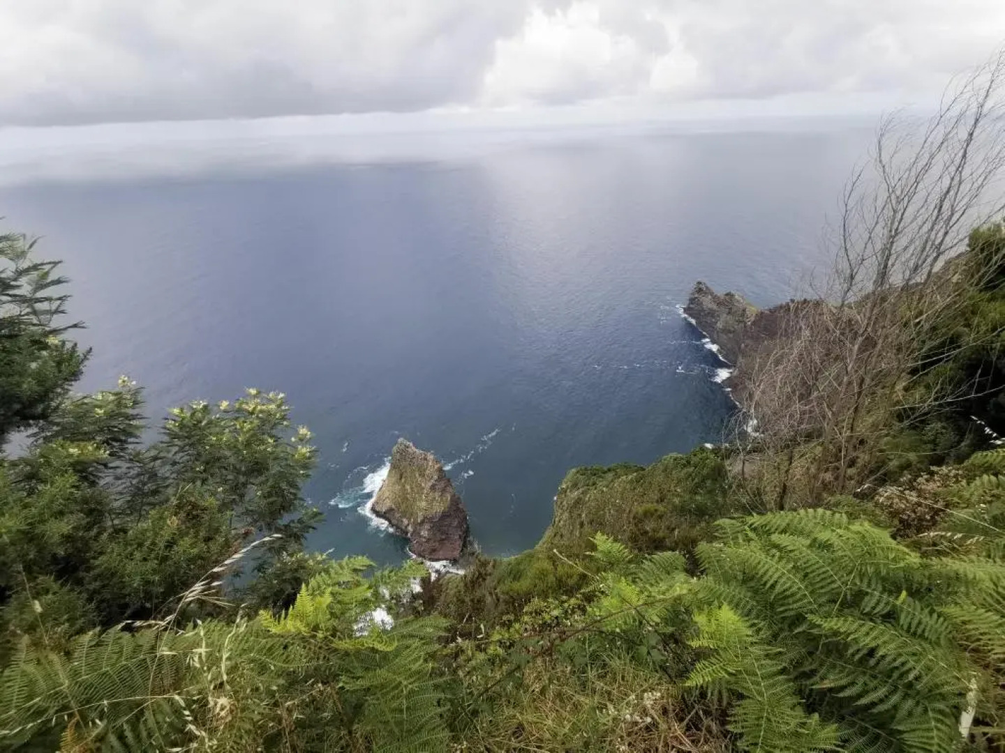 Santana in Nature Bed & Breakfast