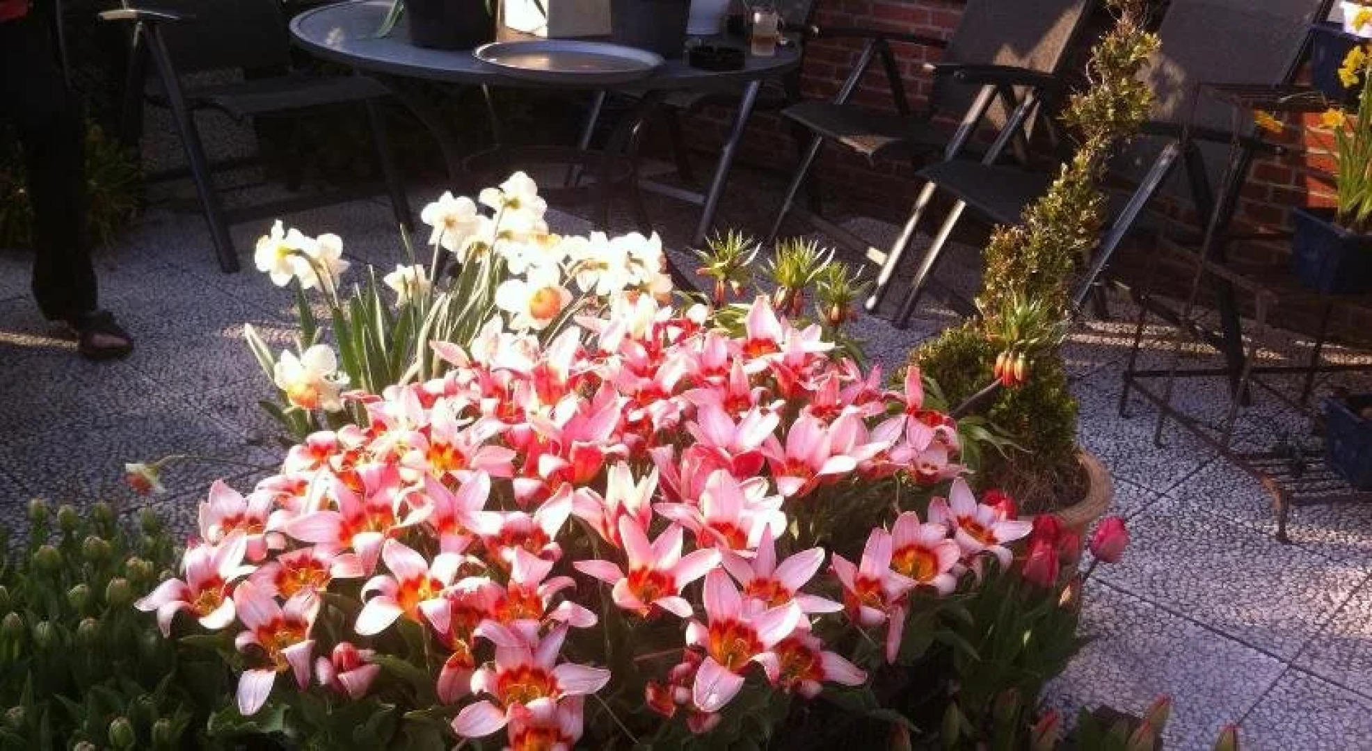 Pension de Driesprong