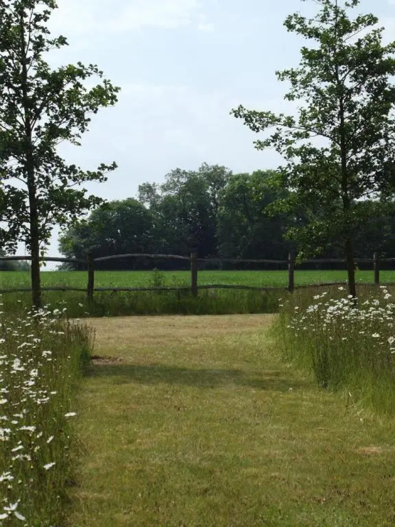 The Suites at Pannells Ash