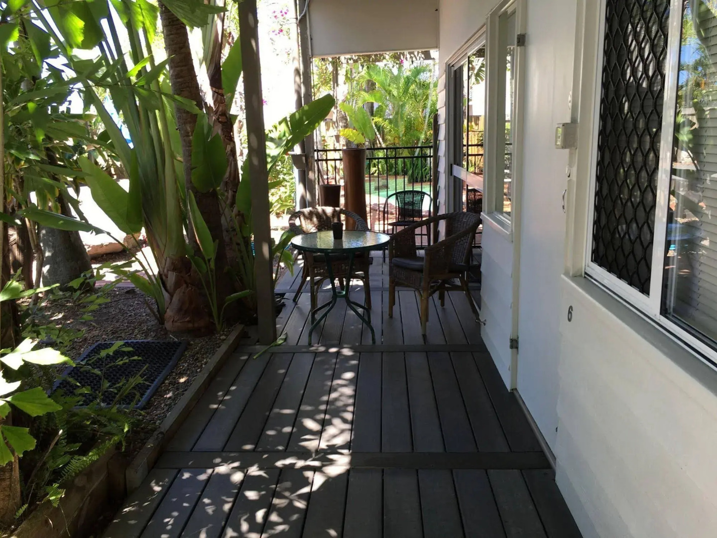 Coconut Palms on the Bay