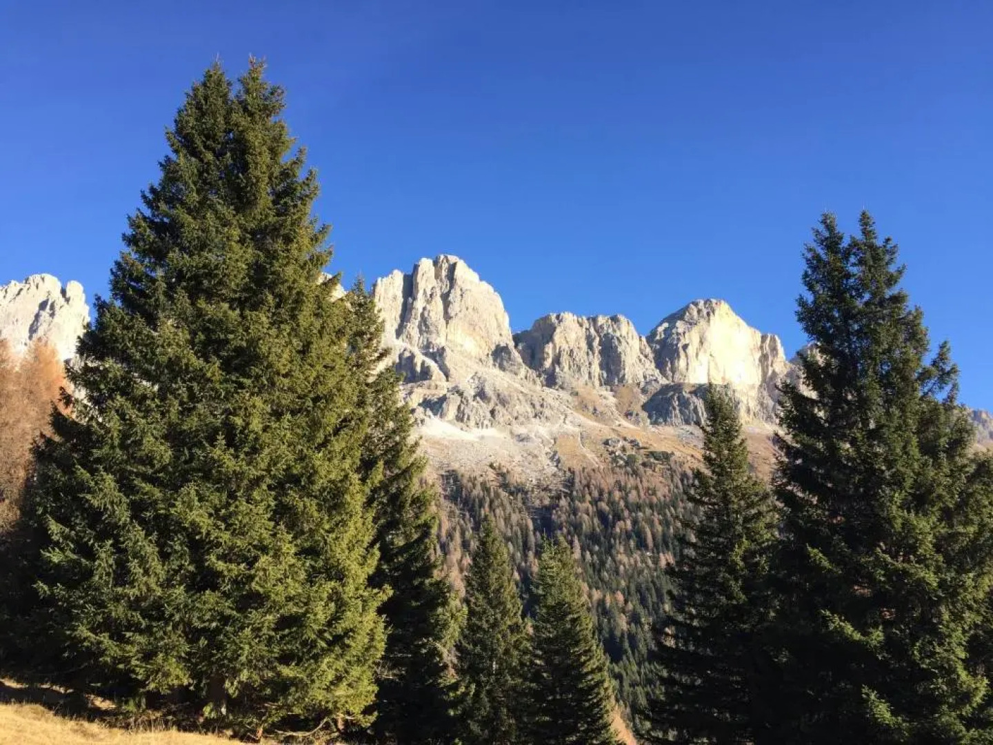 Apartments Dilln Gütl