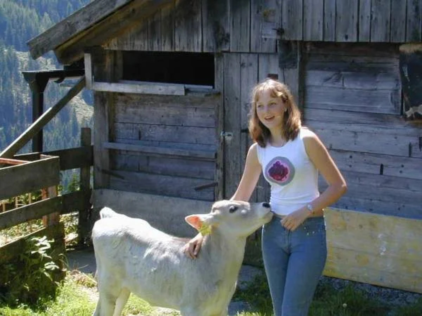 Gasthof Pension Kirchenwirt