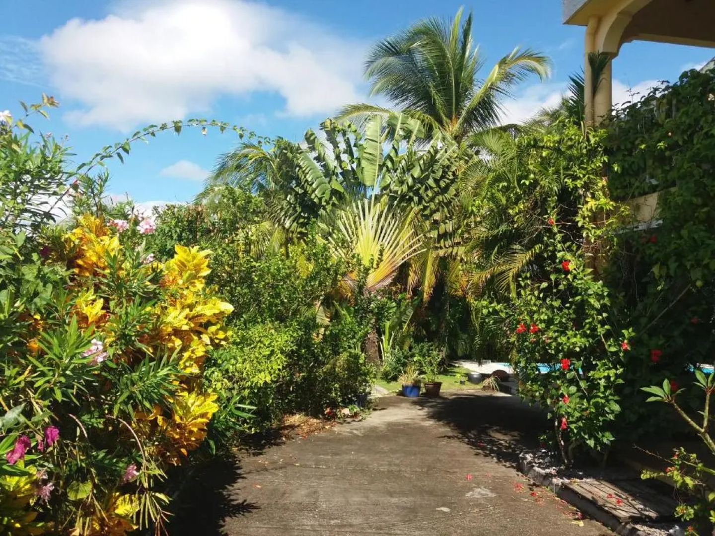 Chambre d'hôte La Villa Gialla