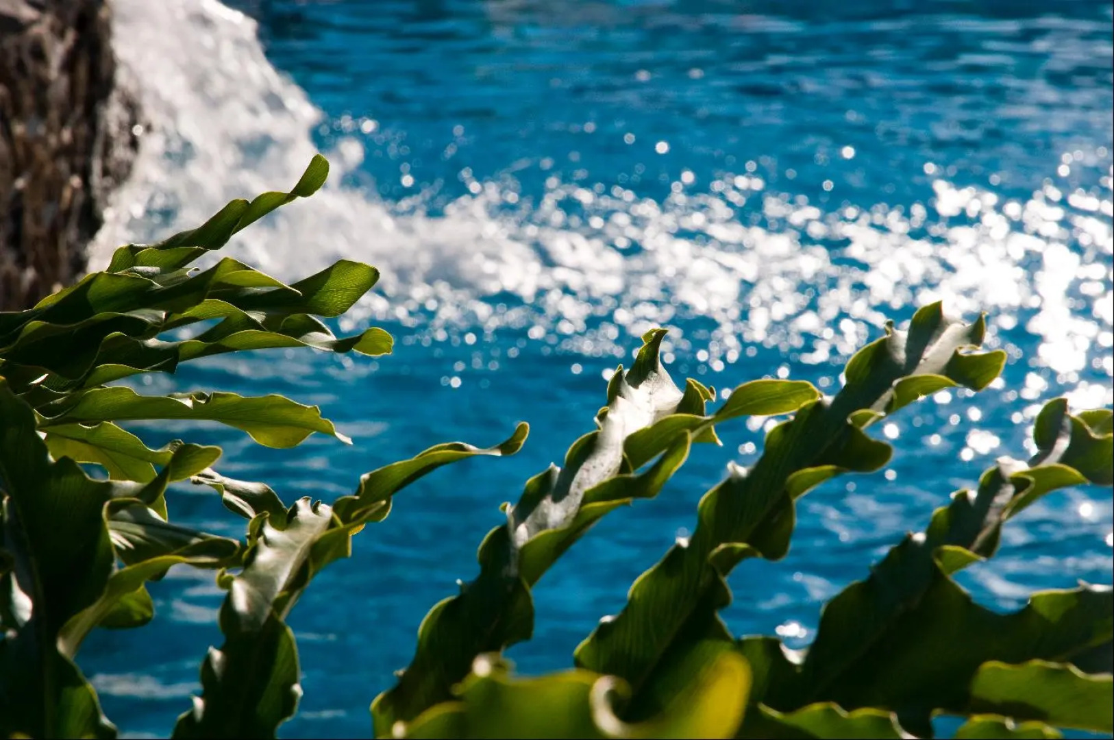 Apartamentos Pirámides