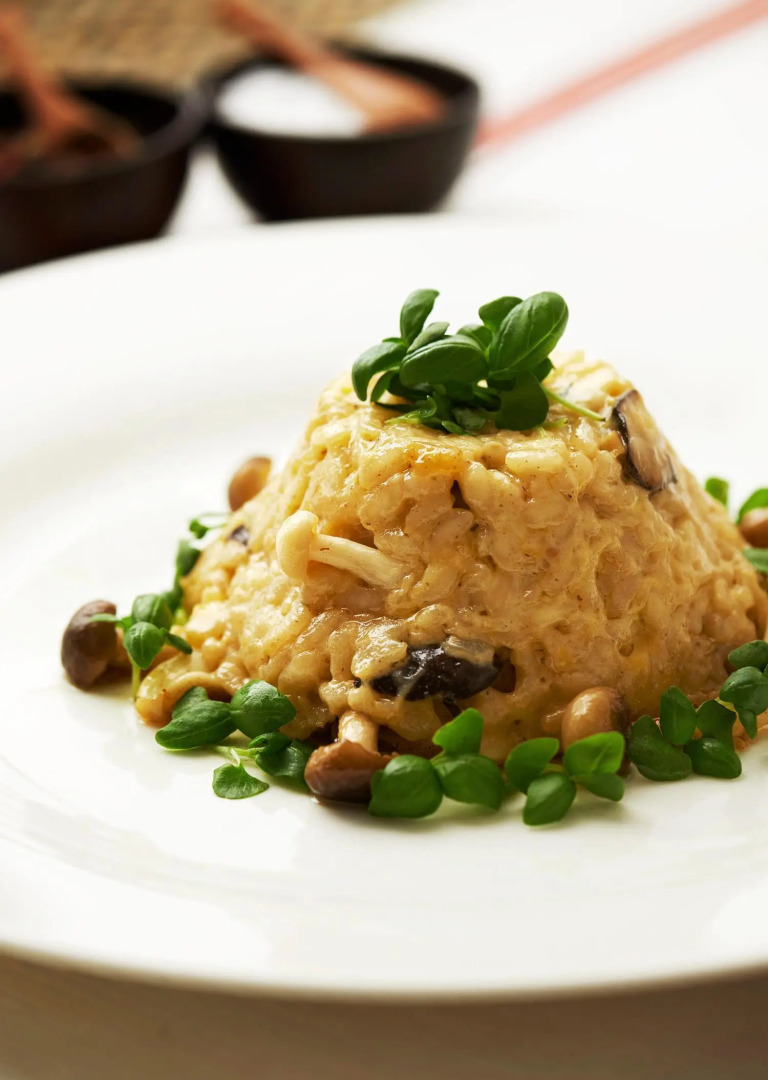 Tomjachu Bush Retreat