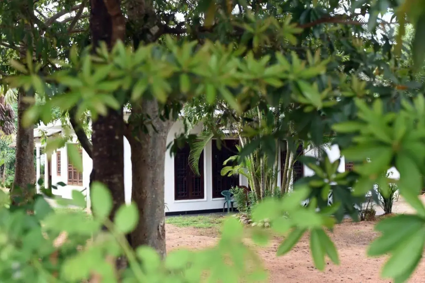 Sun and Green Eco Lodge