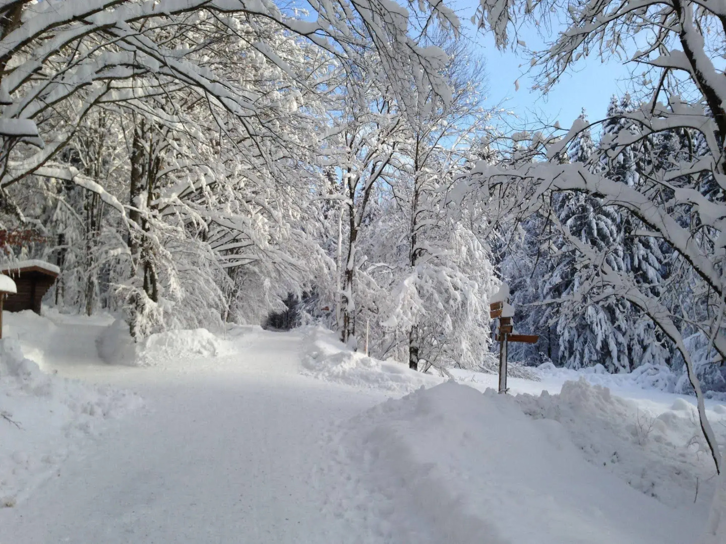 Scottish Highlander Guesthouse