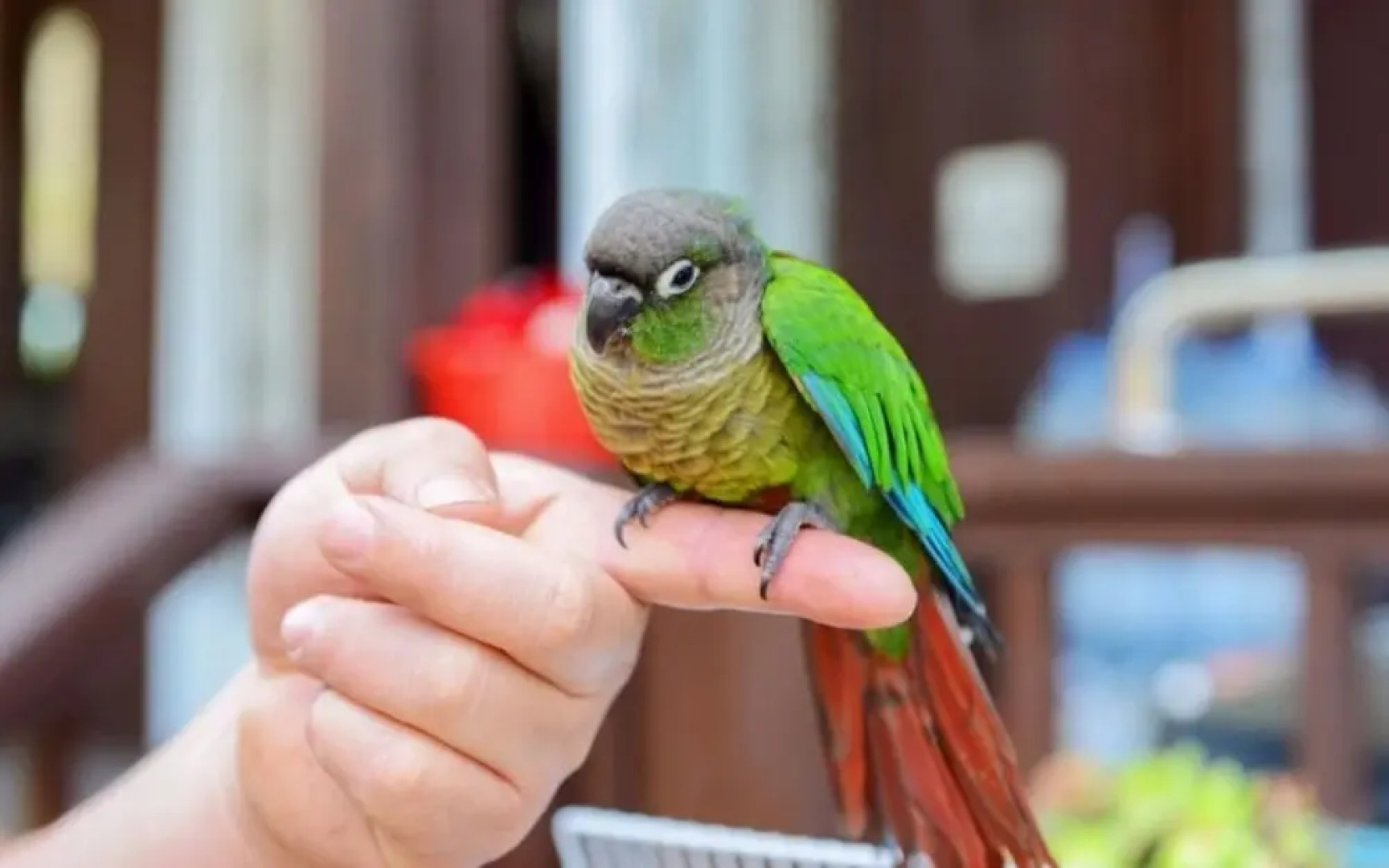 Yangpyeong Chaeum Pension