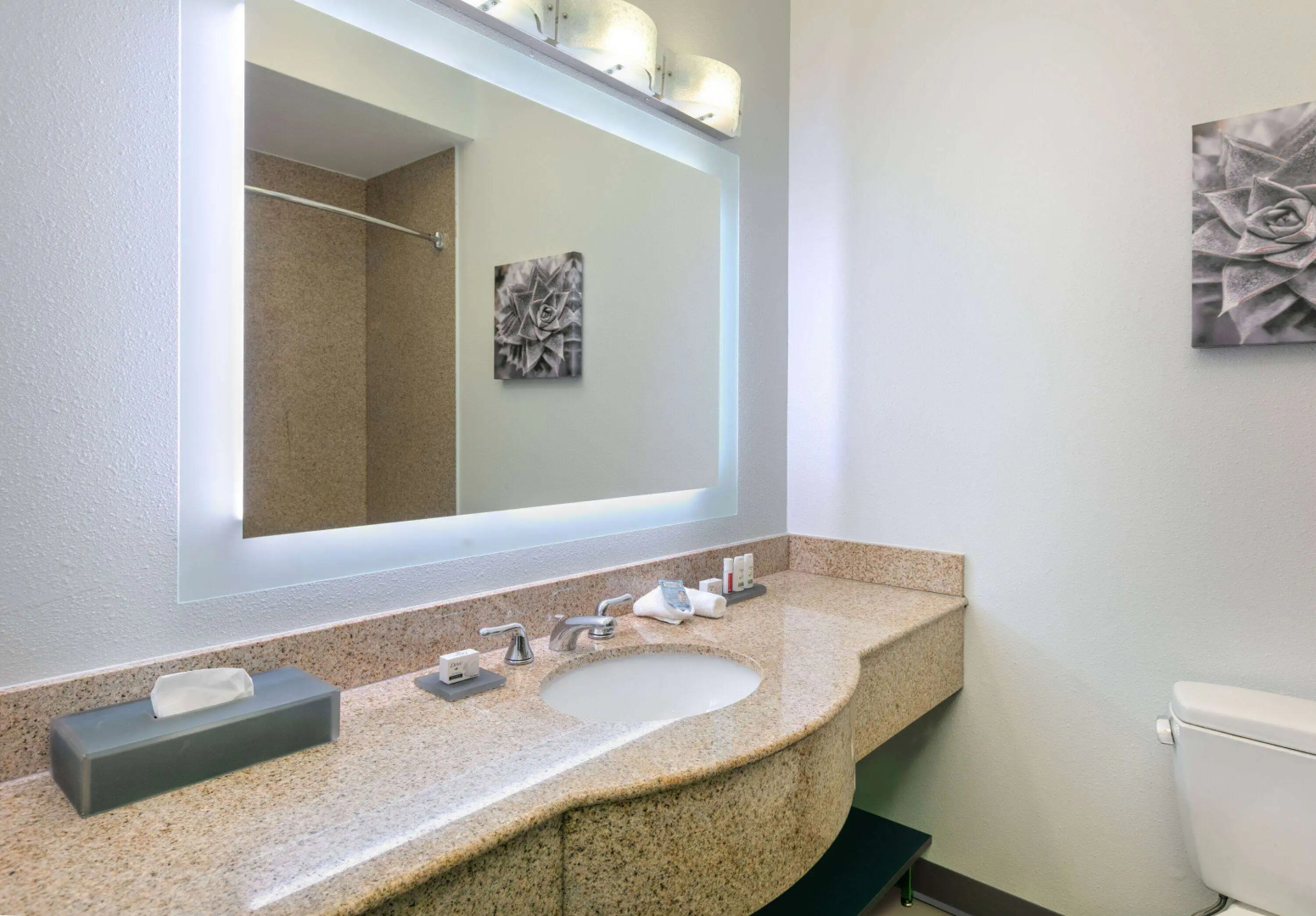La Quinta Inn & Suites by Wyndham Fort Worth NE Mall
