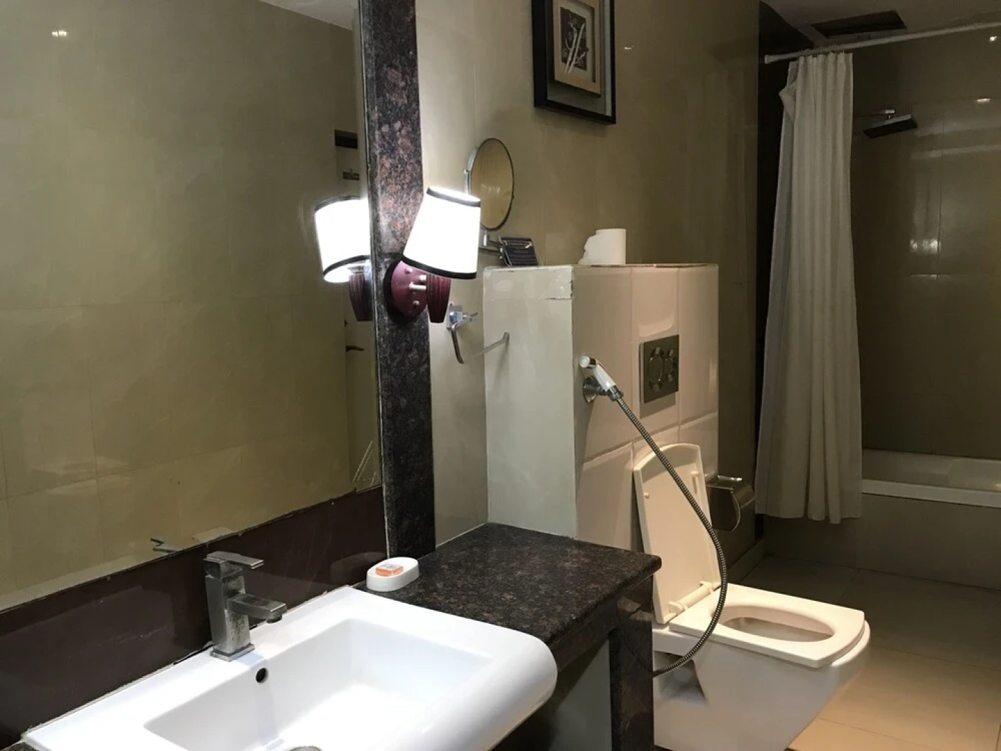Delite Sarovar Portico Faridabad