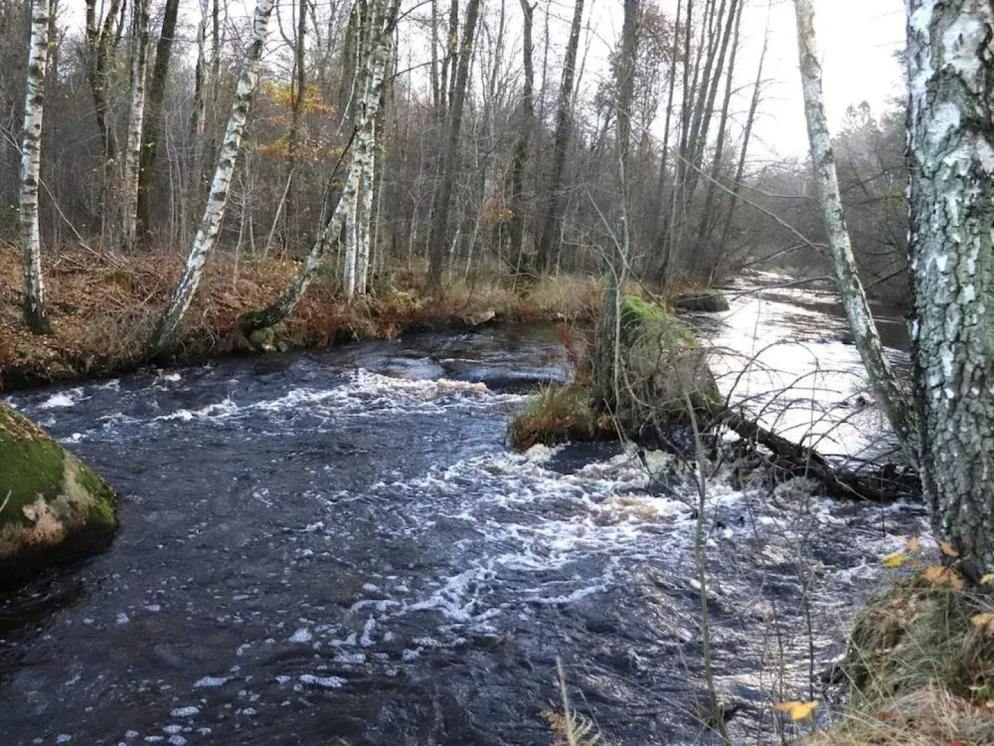 4 Person Holiday Home in Orkelljunga