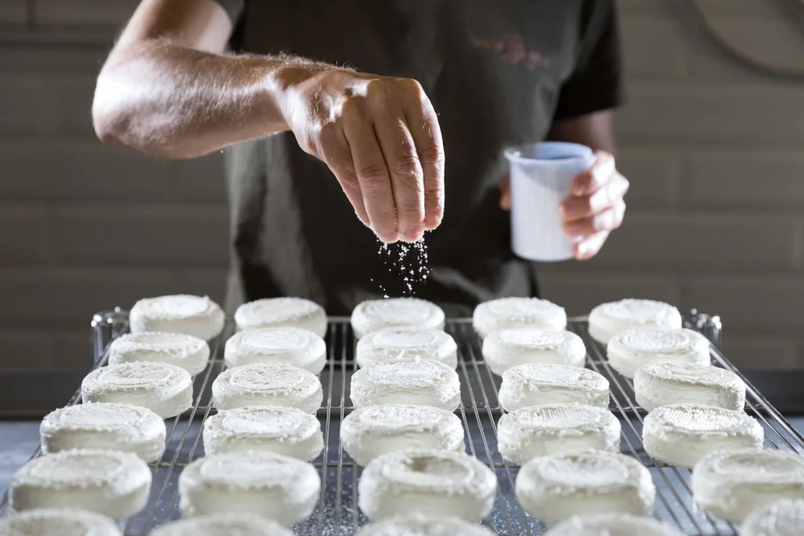 Château Saint-Roux Le Luc- Le Cannet des Maures