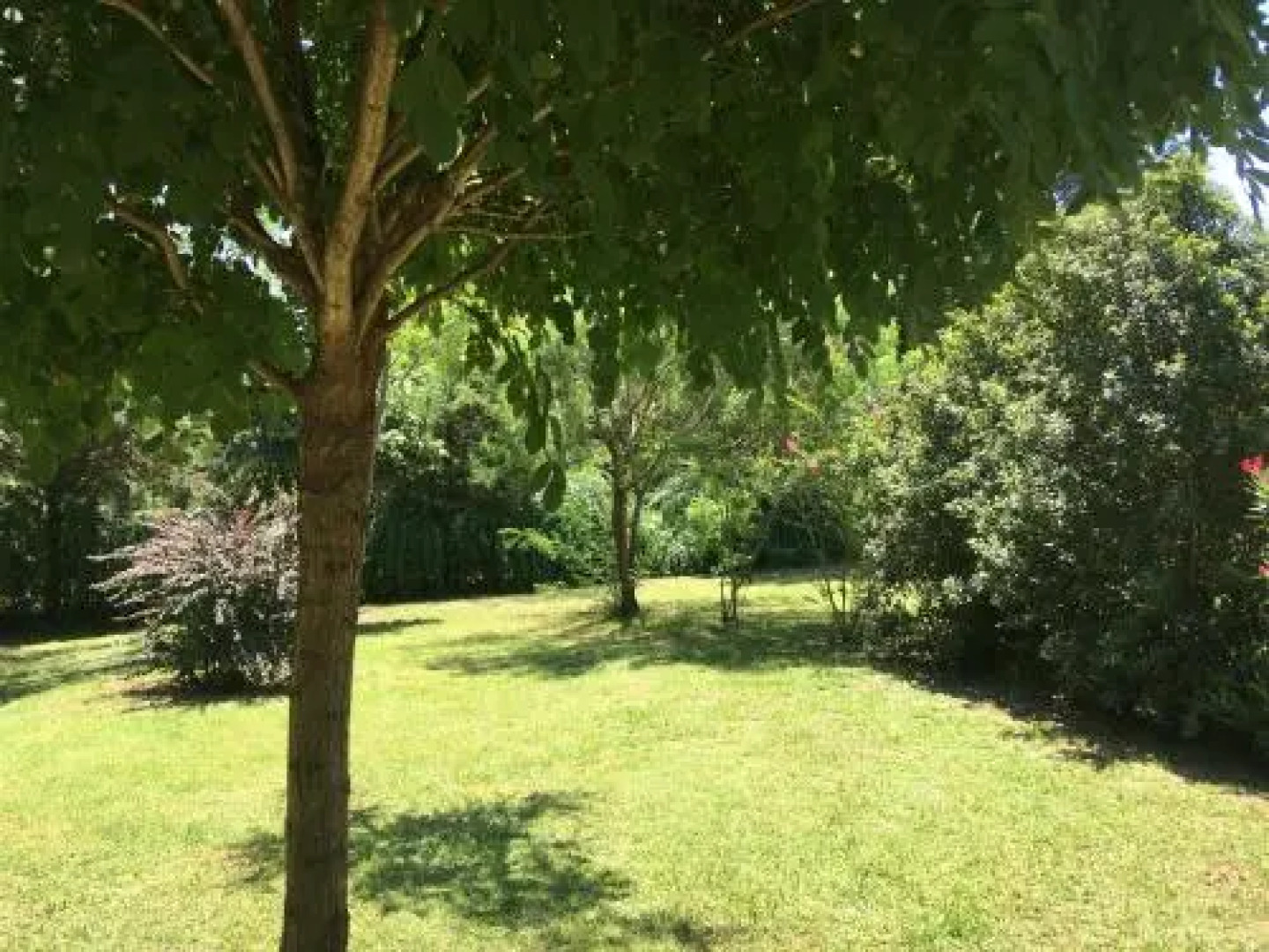 Luna Cautiva Casa de Campo