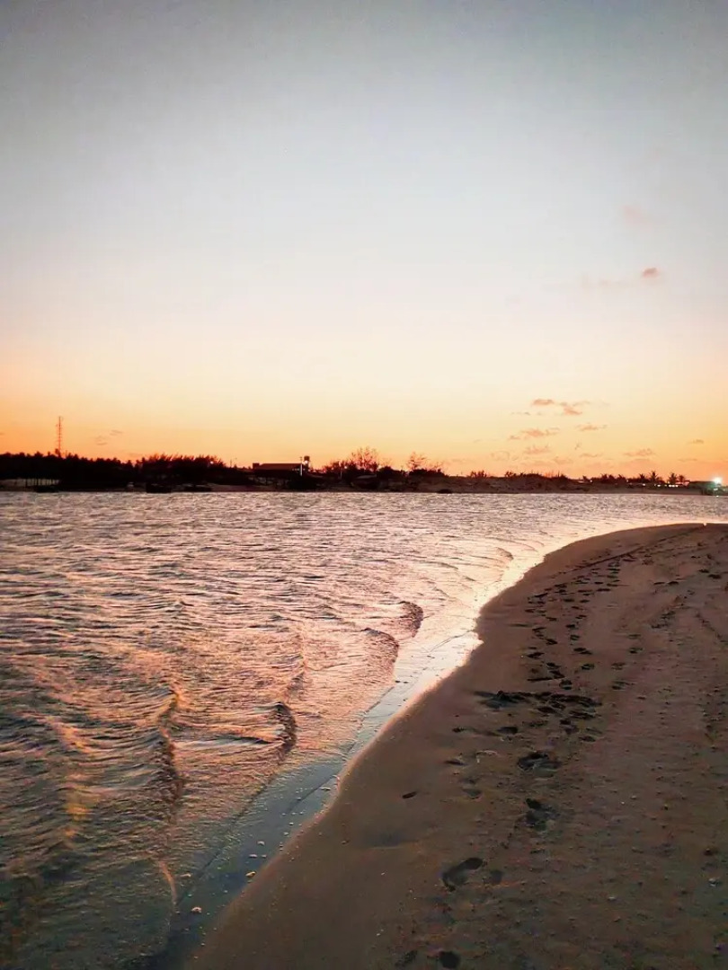 Paradise Suit Sal Premium