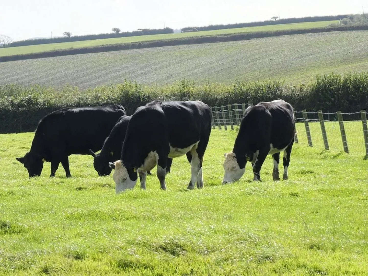 Markstone Farm - Adults Only