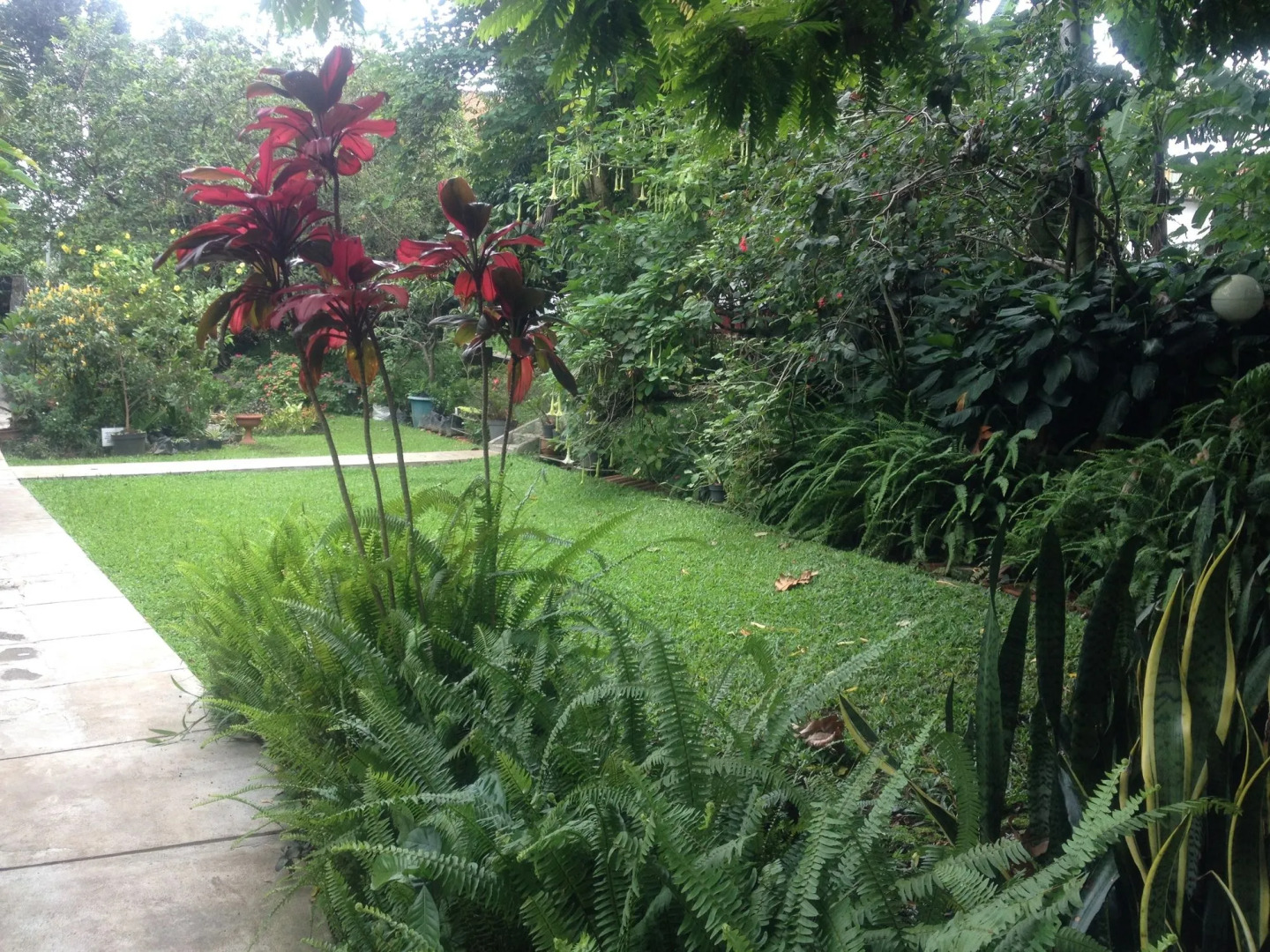 Garden Hostel Dago by RedDoorz