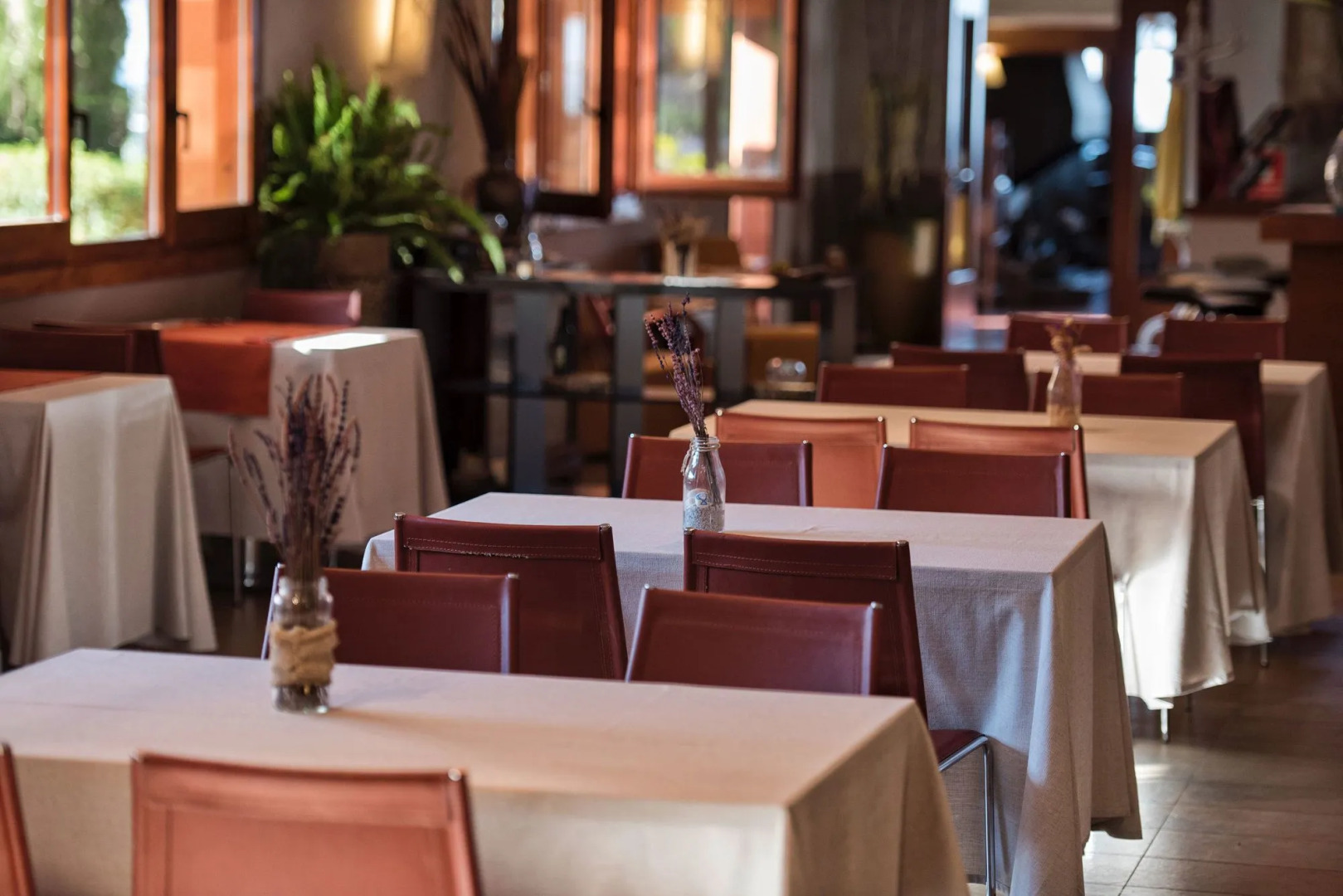 Mas Ses Vinyes - Adults Only