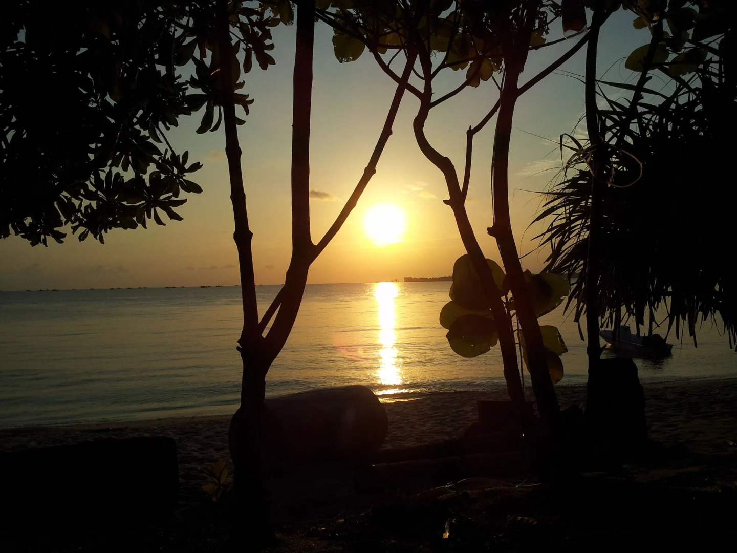 Trikora Beach Club & Resort