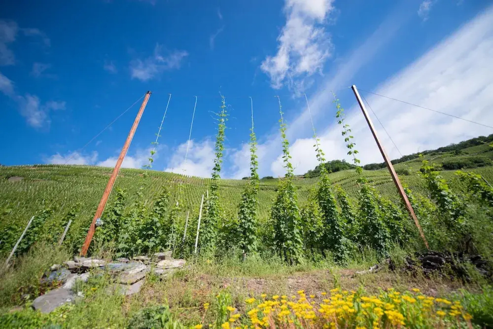 Gastehaus C H Berres