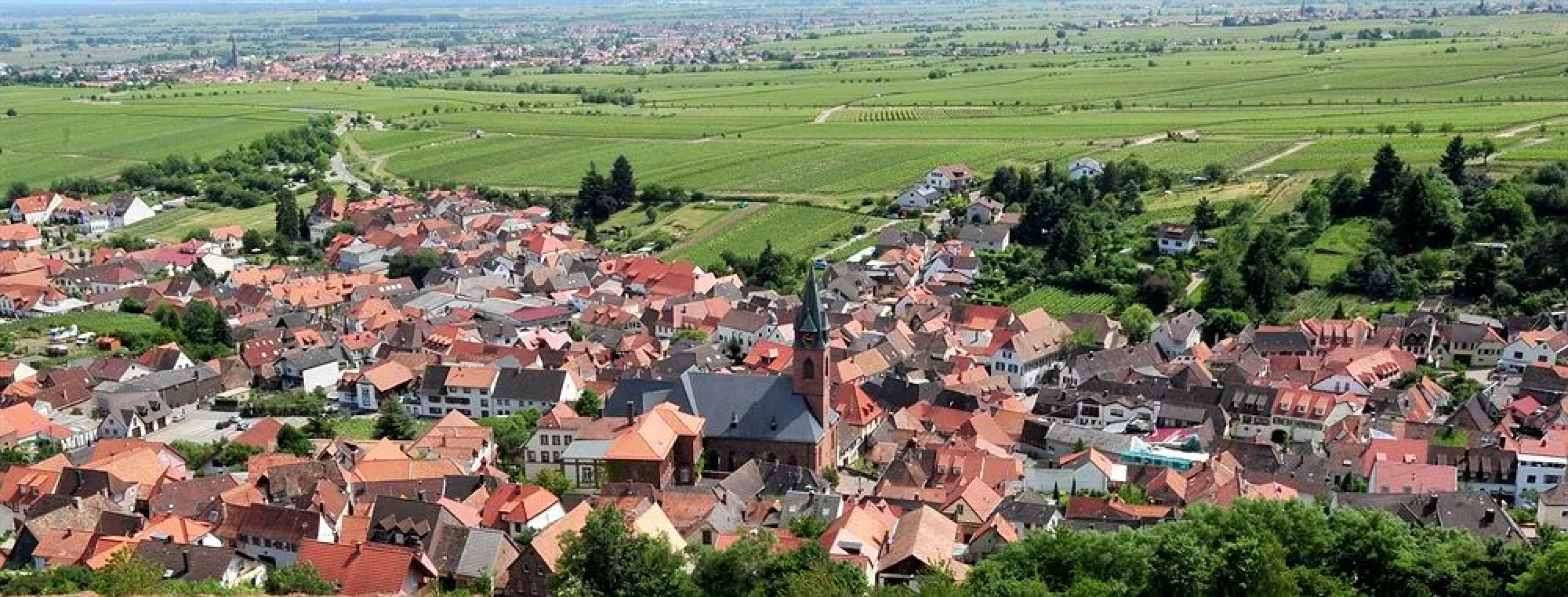 Hotel Haus am Weinberg
