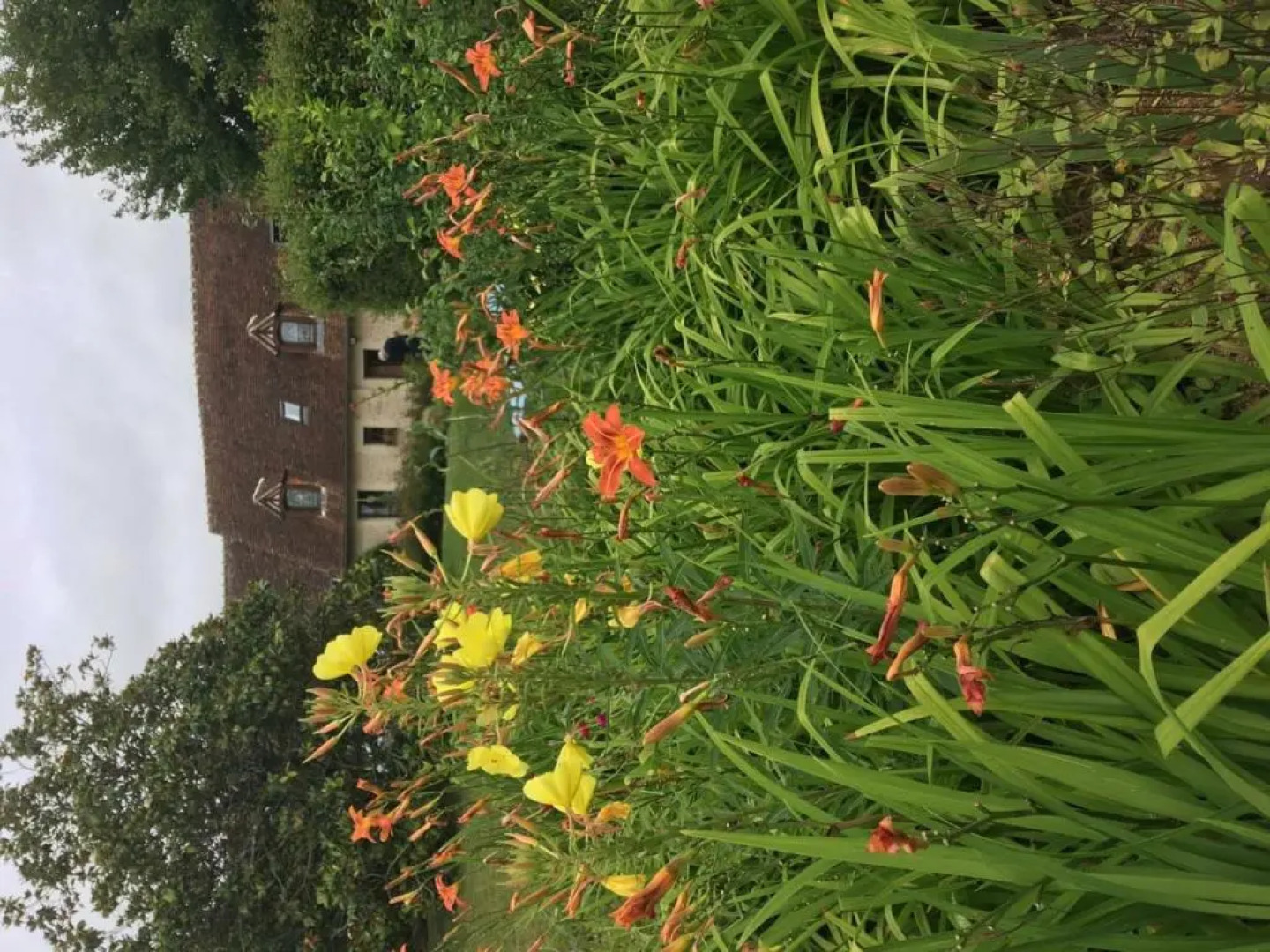 Gîte Saint-Jouin-de-Blavou, 5 pièces, 8 personnes - FR-1-497-38