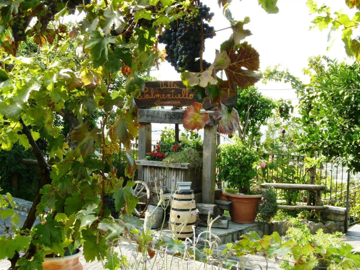 Agriturismo Villa Palmentiello