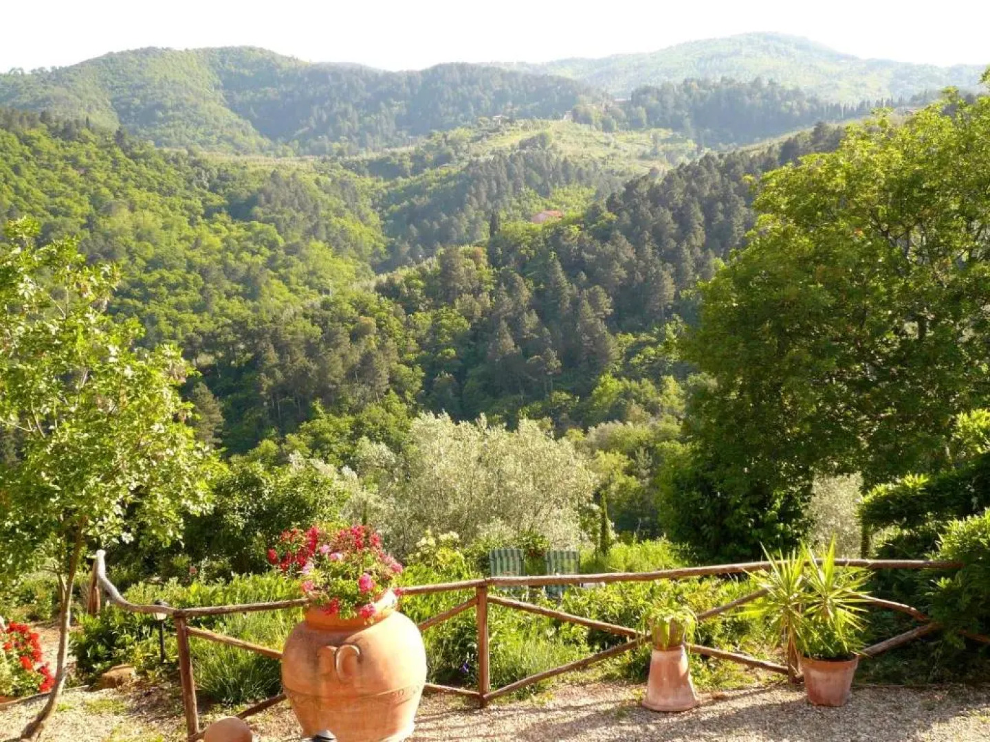 Ventena Vecchia Antico Frantoio