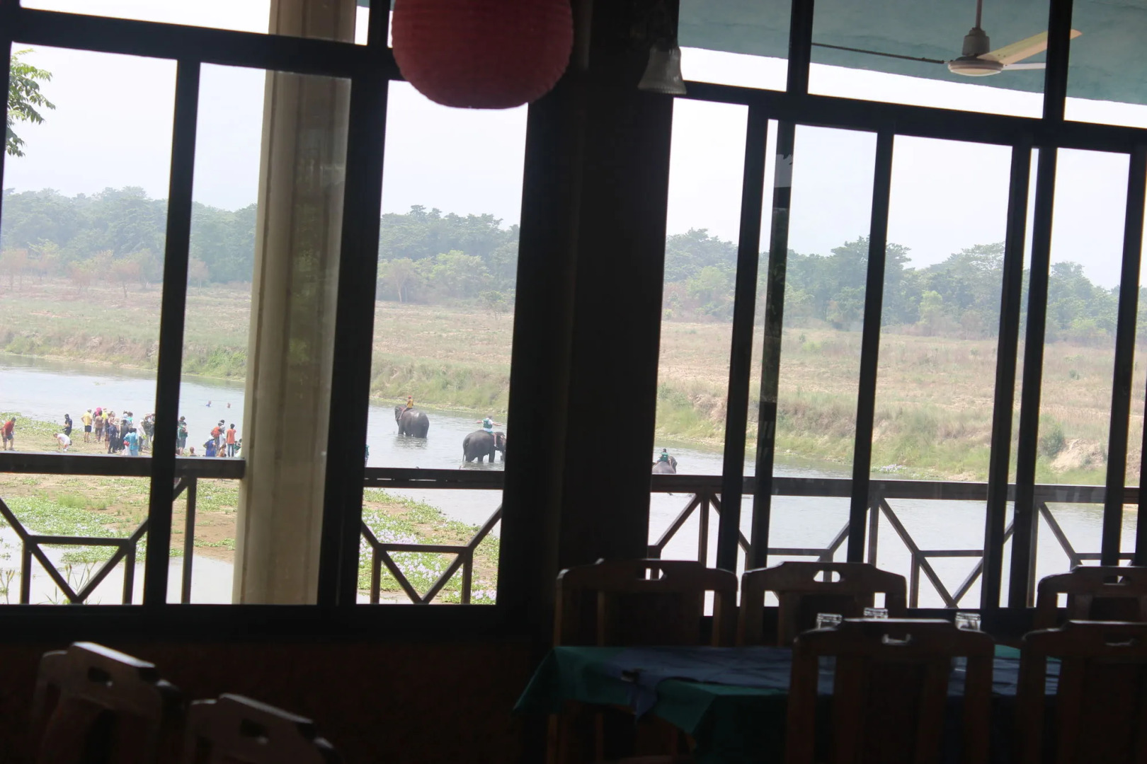 Jungle Wildlife Camp