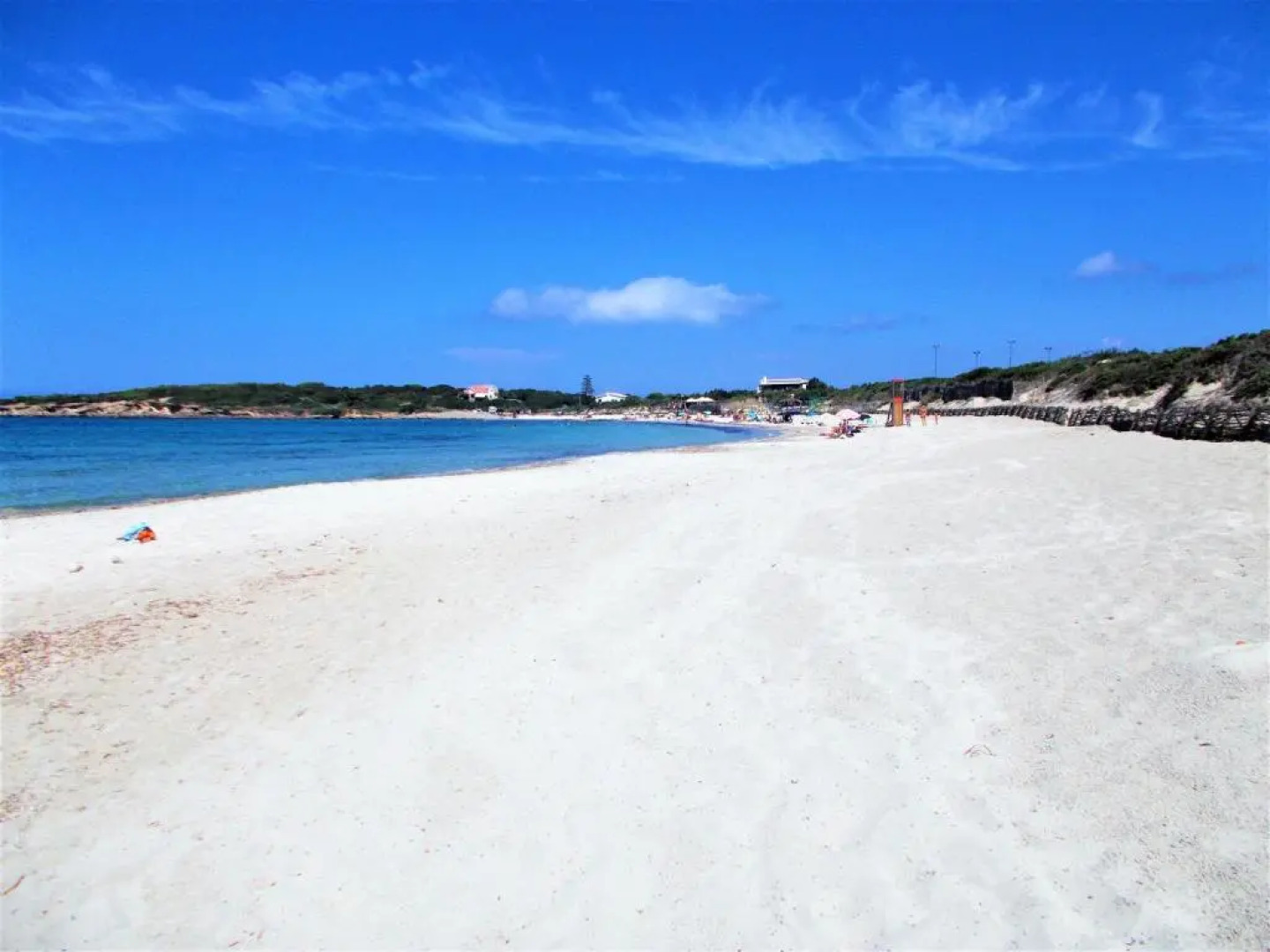 Pineta Spiaggia Grande 2