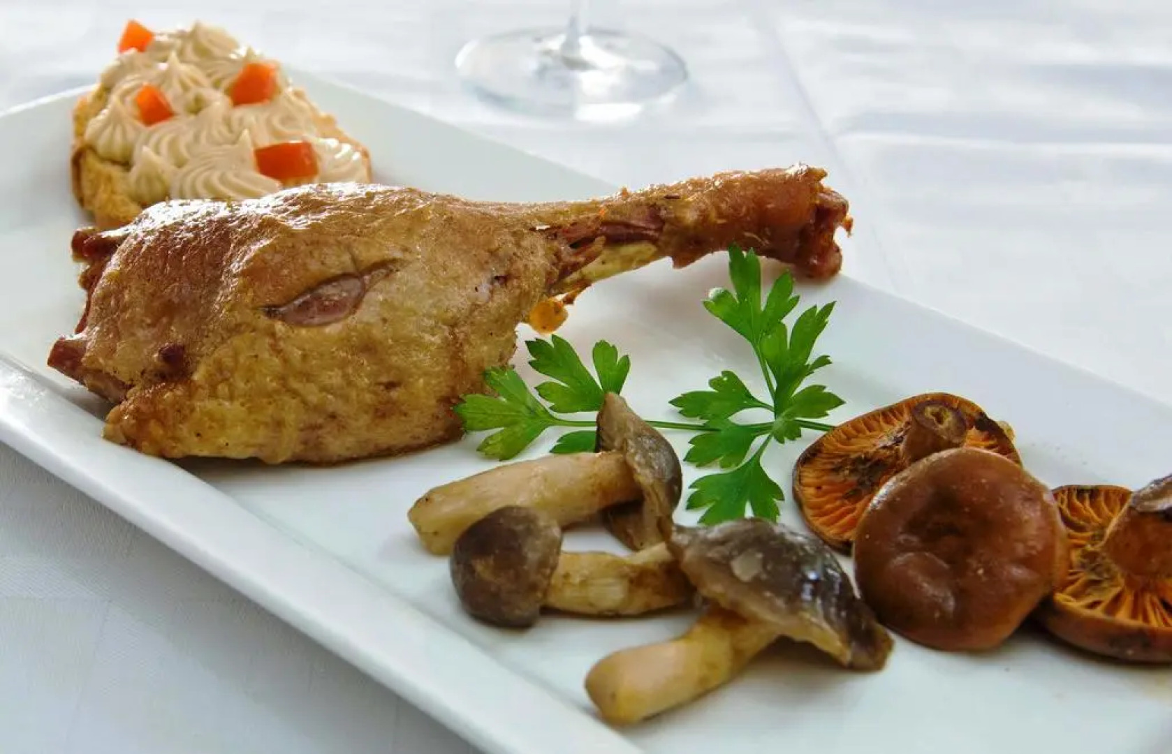 Bungalows - Càmping El Solsonès