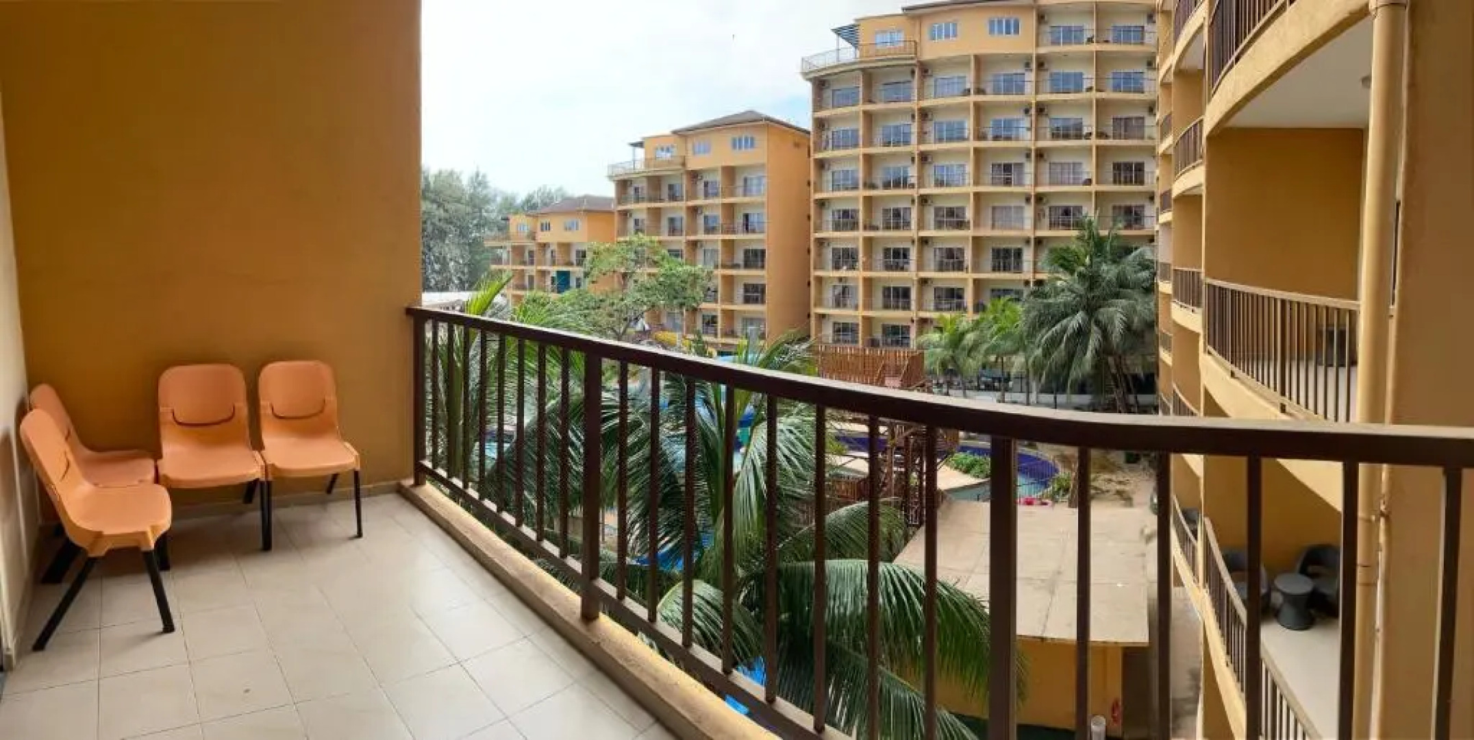 Gold Coast Morib @ 3346