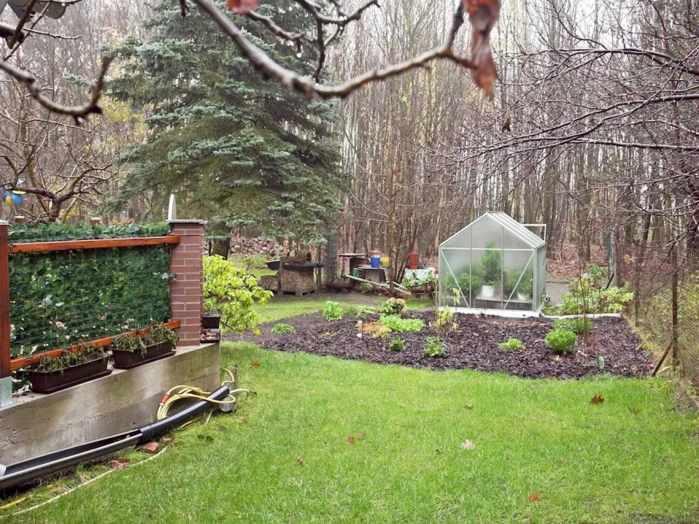 Holiday Home in the Forest