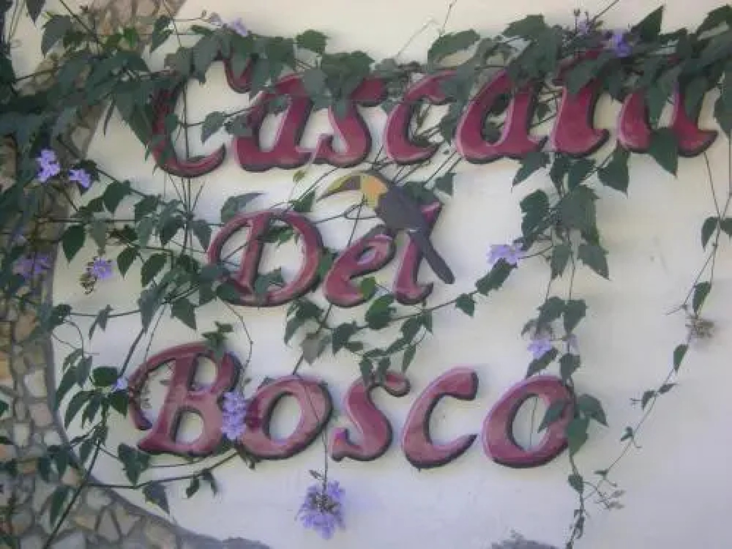 Cascata Del Bosco